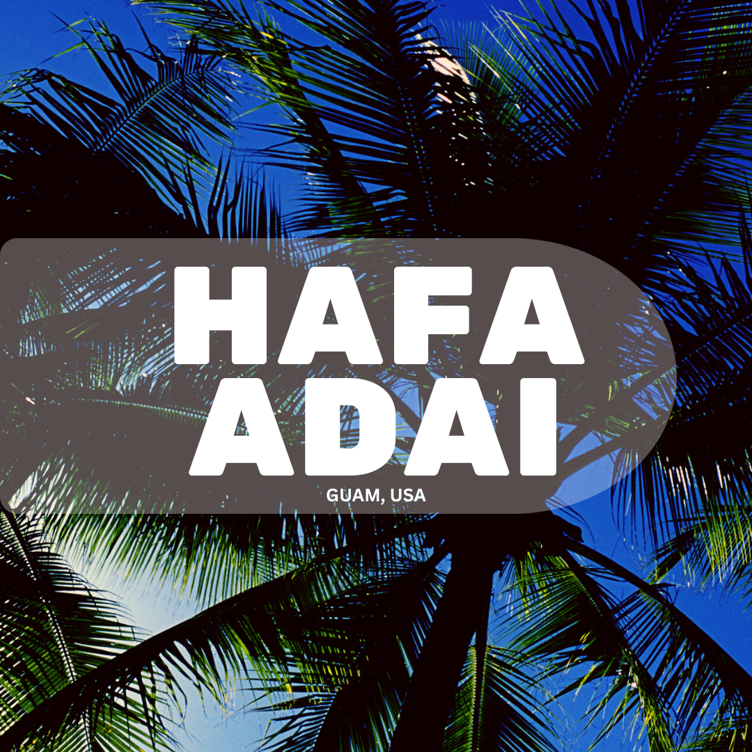 2x2 Magnet 4pc Guam Set B