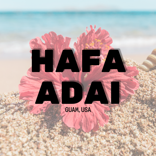 2x2 Magnet 4pc Guam Set B