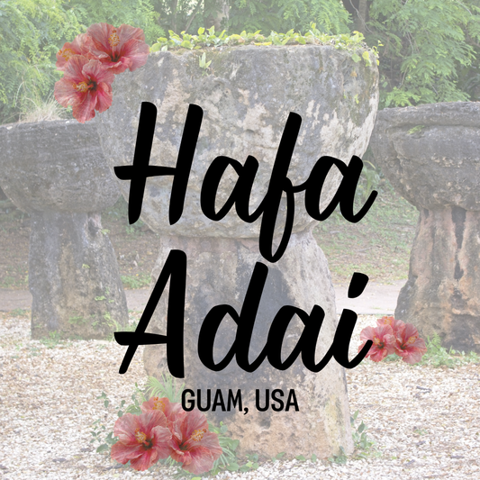 2x2 Magnet 4pc Guam Set A